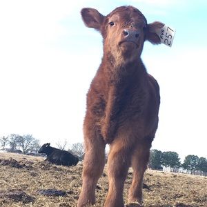 Meet your Posher, Justin